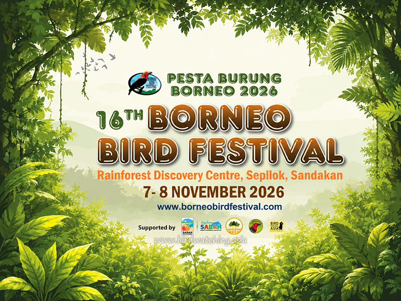 Borneo Bird Festival
