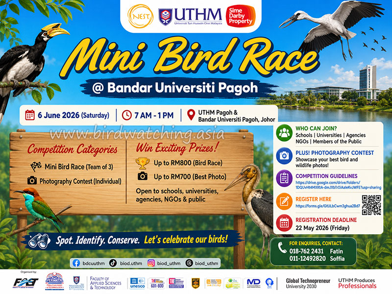 Bird Race UHTM Pagoh Johor