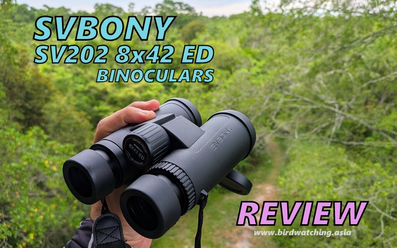 SVBONY SV202 8x42 ED review