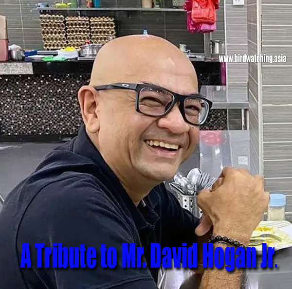 David-Hogan-Jr